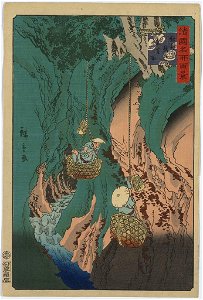 Kishū kumano iwatake tori LCCN2008660315