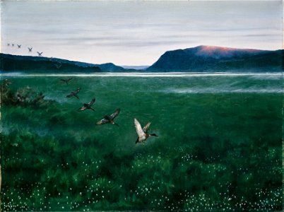 Theodor Kittelsen - The twelve Wild Ducks - Google Art Project. Free illustration for personal and commercial use.