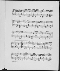 Kismet Rag 3