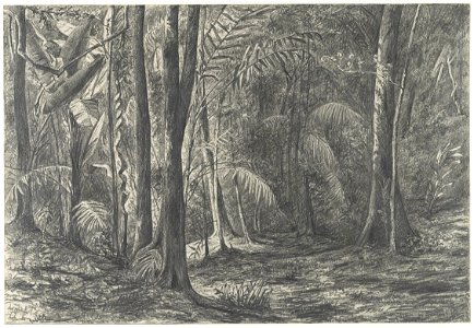 KITLV - 37A218 - Borret, Arnoldus - Plantation Livorno - Pencil - 1879