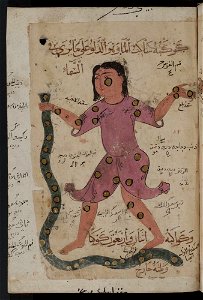Kitab al-Bulhan --- man and snake