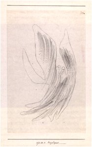 Paul Klee ~ Engelpaar ~ 1931