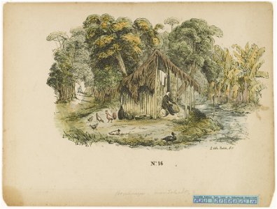 KITLV - 36C344 - Bray, Th. - Petit - Guard of the plantation of vegetable plots in front of his cabin - Colour lithography - 1850