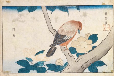 Kitao Masayoshi - Untitled - Google Art Project