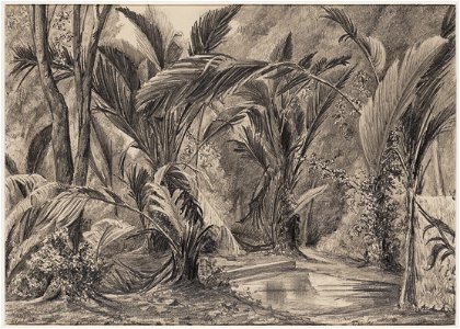 KITLV - 48B3 - Borret, Arnoldus - In the Upper Saramacca, Suriname. - Pencil - 1881-09
