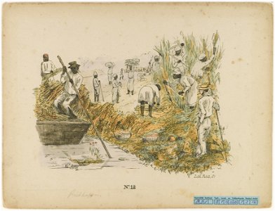 KITLV - 36C340 - Bray, Th. - Petit - Cutting and transporting sugarcane - Colour lithography - 1850