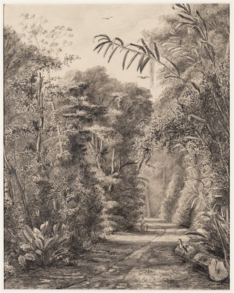 KITLV - 48B7 - Borret, Arnoldus - Plantation Jagtlust - Pencil - 1881