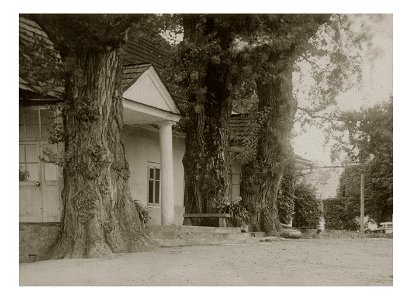 KLIMKOWKA DWOR 3
