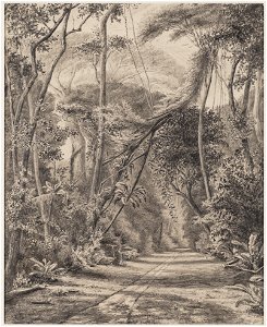 KITLV - 48B8 - Borret, Arnoldus - Plantation Jagtlust - Pencil - 1881