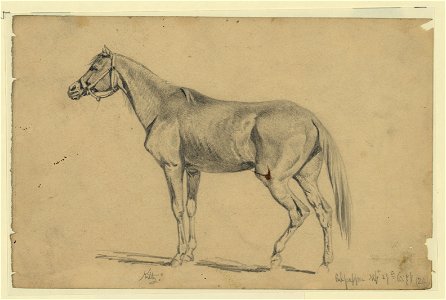 Kitty. Edwin Forbe's (sic) mare that he rode from 1862-1865 LCCN2004661498