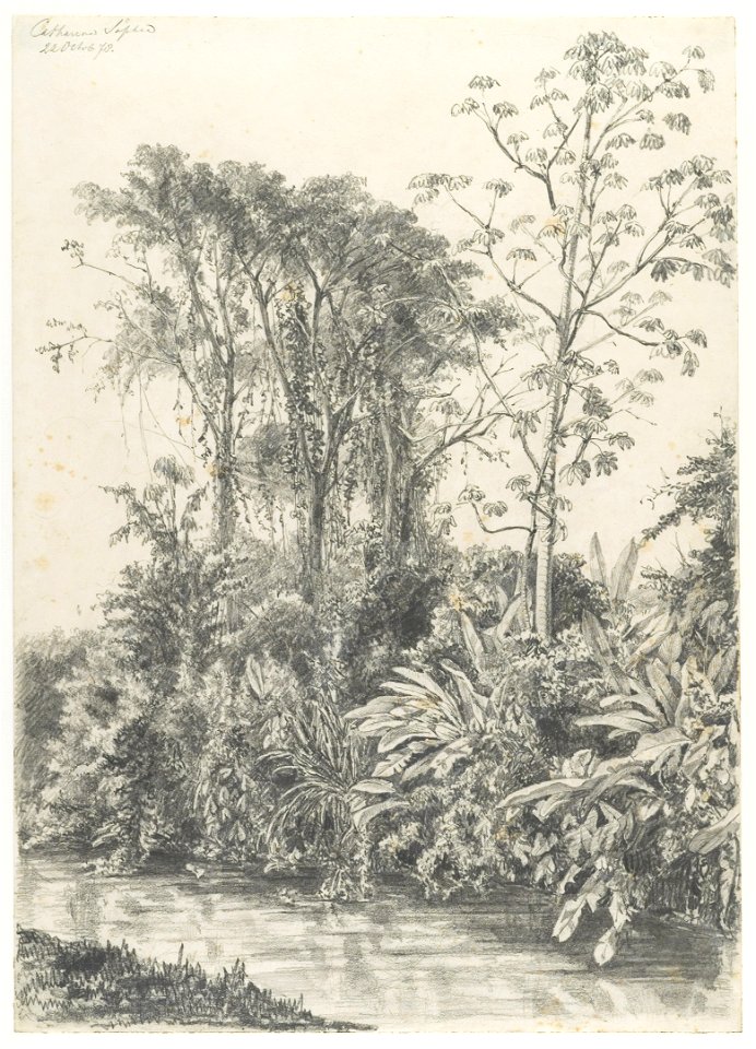 KITLV - 37A220 - Borret, Arnoldus - Catharina Sophia plantation, Surinam - Pencil - 1878-10-22
