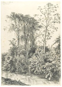 KITLV - 37A220 - Borret, Arnoldus - Catharina Sophia plantation, Surinam - Pencil - 1878-10-22