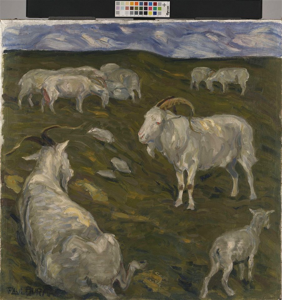 Kitsekari, Paul Burman, TKM TR 3453 M 616