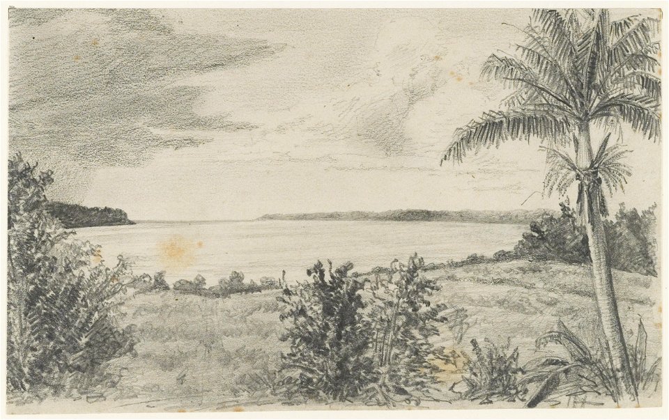 KITLV - 36C198 - Borret, Arnoldus - Mouth of Coppename River, Surinam - Pencil - Circa 1880