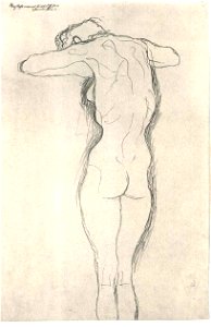 Klimt - Rückenakt