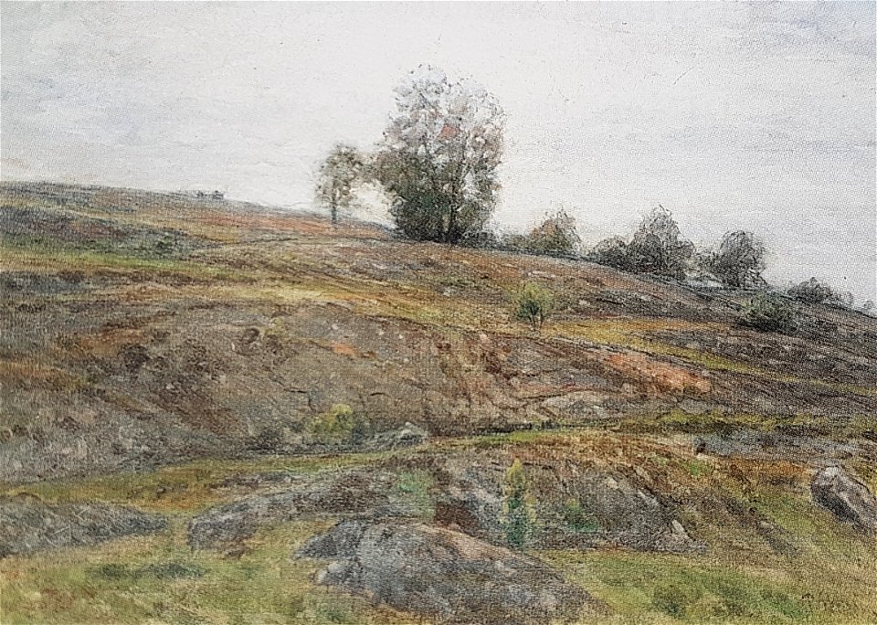 Klipphällar x Per Ekström