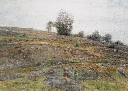 Klipphällar x Per Ekström