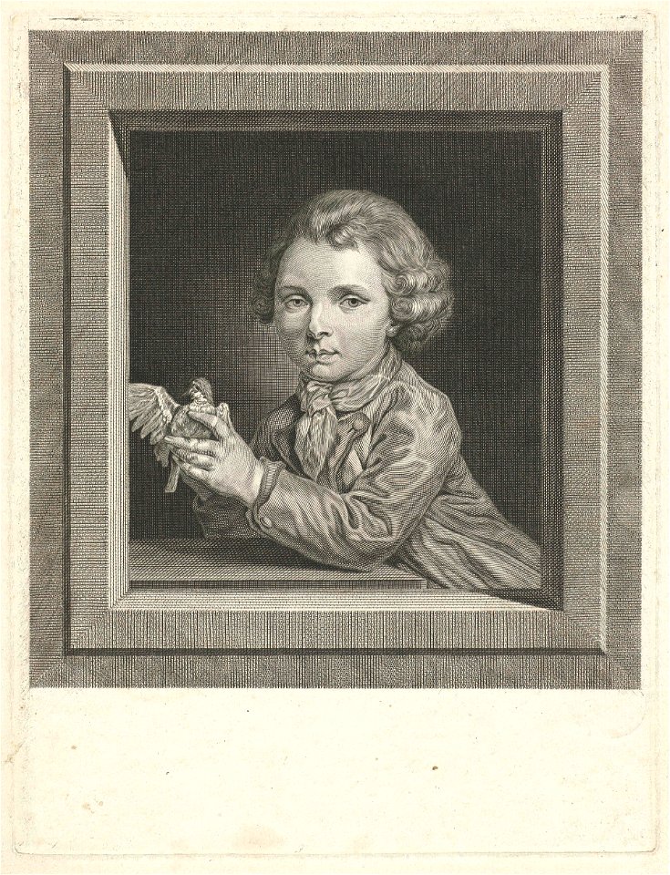 Kleine vogelvanger