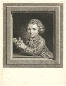 Kleine vogelvanger