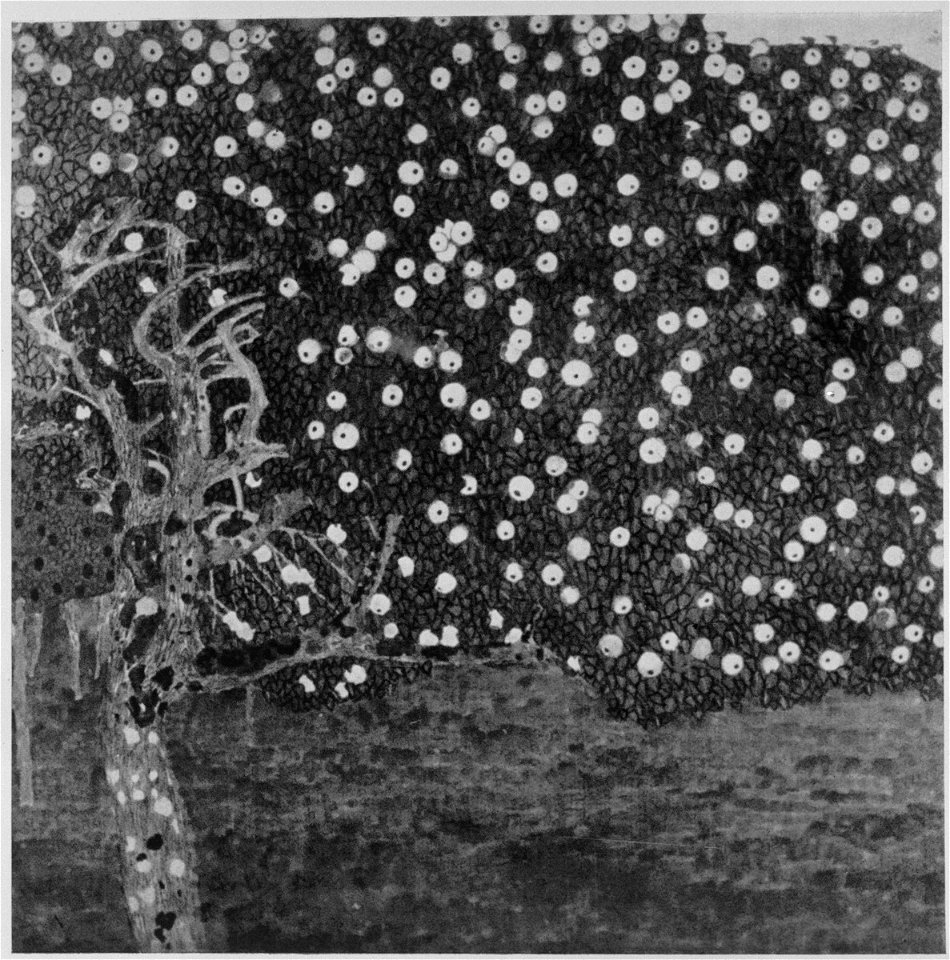 Klimt - Goldener Apfelbaum, 1903