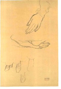 Klimt - Händestudien Schuhstudie