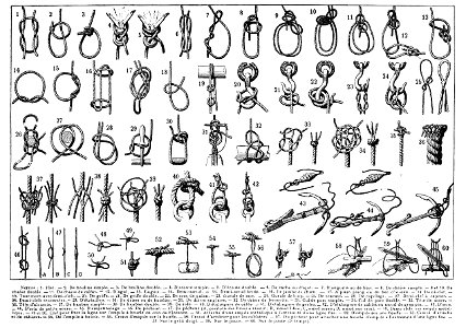 Knots Larousse
