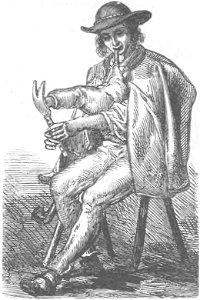 Kobziarz tatrzański