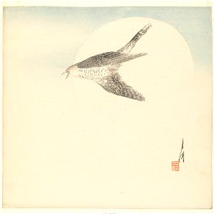 Koekoek vliegend bij volle maan-Rijksmuseum RP-P-1976-255