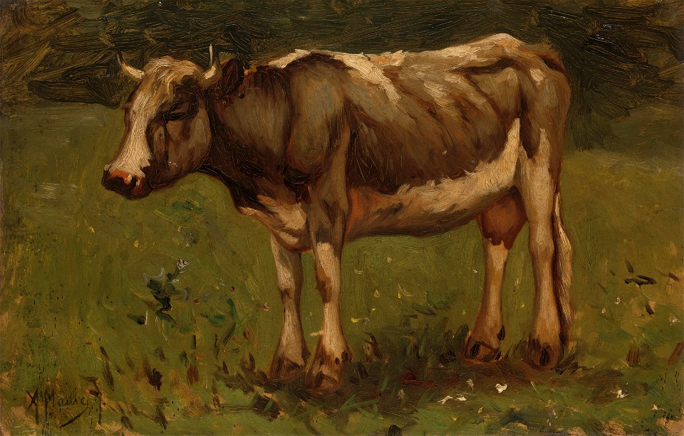 Koe Rijksmuseum SK-A-3323