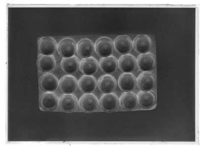 Knappar till uniform , 24 st - Livrustkammaren - 69051-negative