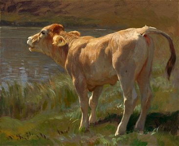 Rudolf Koller - Brüllendes Rind (1871)