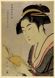 Kobikichō arayashiki koiseya ochie LCCN2008660669