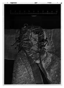 Knäros - Livrustkammaren - 43870-negative