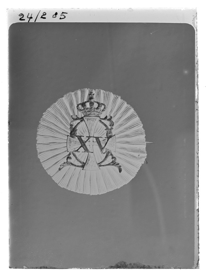 Kokard till Konung Karl XVs jaktklubbs uniform, Sverige 1863-1880 c - Livrustkammaren - 19886-negative