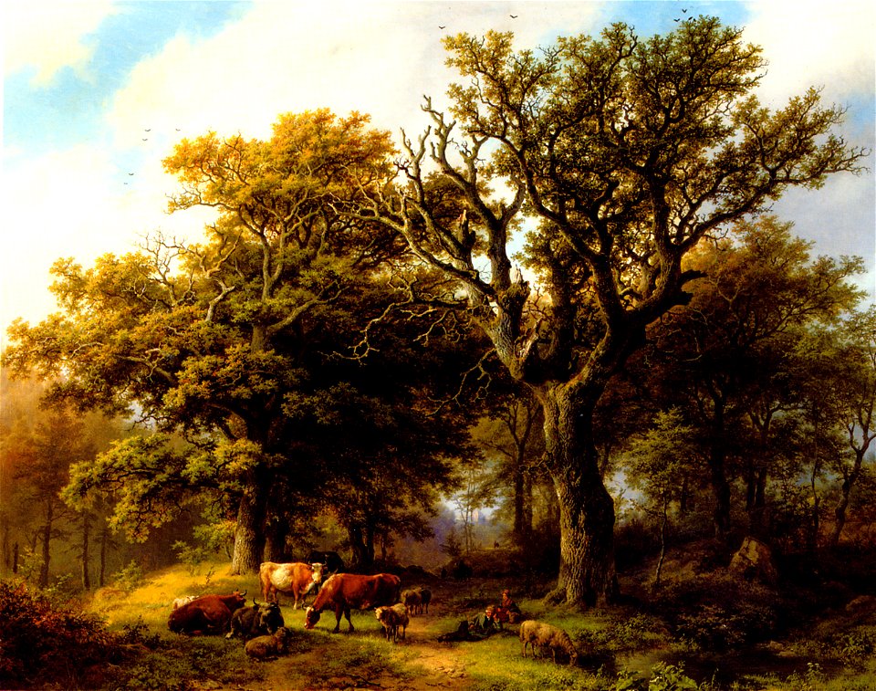 Koekkoek herdsman-cattle