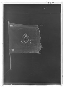 Kompanifana liv-o hustrupper - Livrustkammaren - 17539-negative
