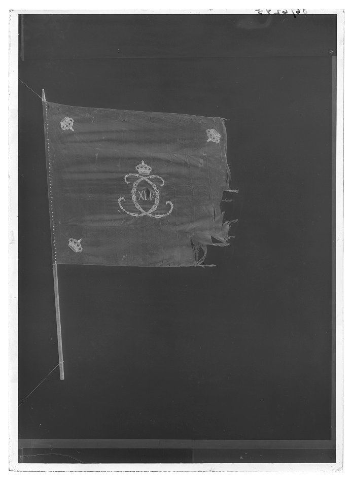 Kompanifana liv-o hustrupper - Livrustkammaren - 43220-negative