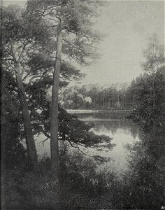 Konrad Dielitz - Märkischer Waldsee