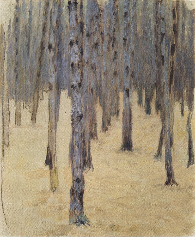 Kolo Moser - Föhrenwald im Winter - ca1907