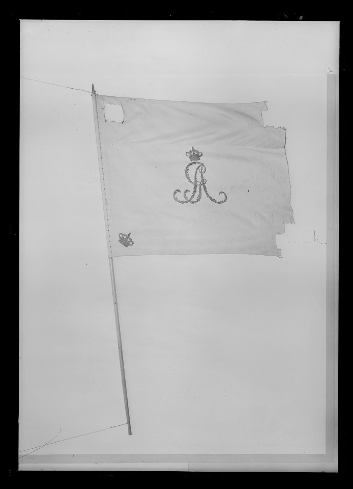 Kompanifana liv-o hustrupper - Livrustkammaren - 17544