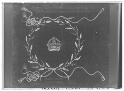 Kompanifana - Livrustkammaren - 53118-negative