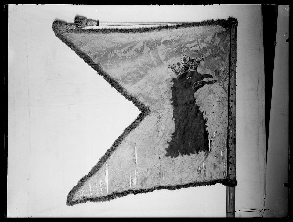Kompanifana Skånska dragonr - Livrustkammaren - 25749