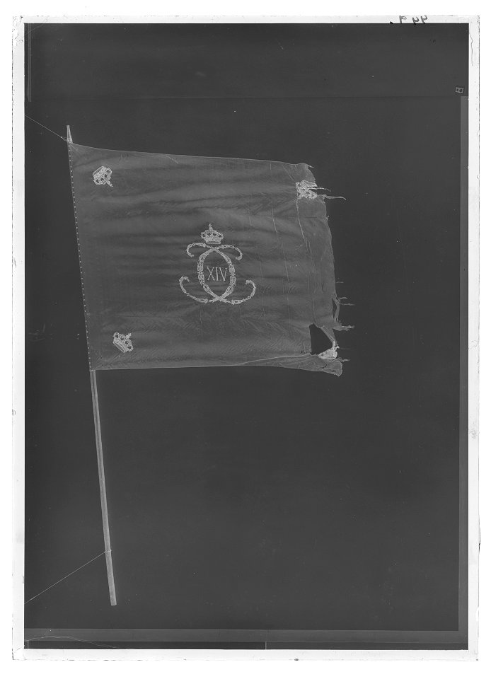 Kompanifana liv-o hustrupper - Livrustkammaren - 418-negative