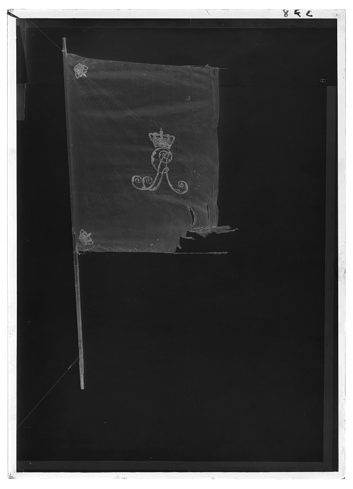 Kompanifana liv-o hustrupper - Livrustkammaren - 60364-negative