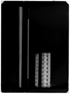 Kommendantstav - Livrustkammaren - 17150-negative