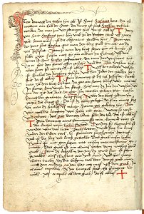 Konrad von Grünenberg - Beschreibung der Reise von Konstanz nach Jerusalem - Blatt 38v - 082
