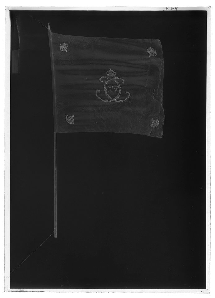 Kompanifana liv-o hustrupper - Livrustkammaren - 68925-negative
