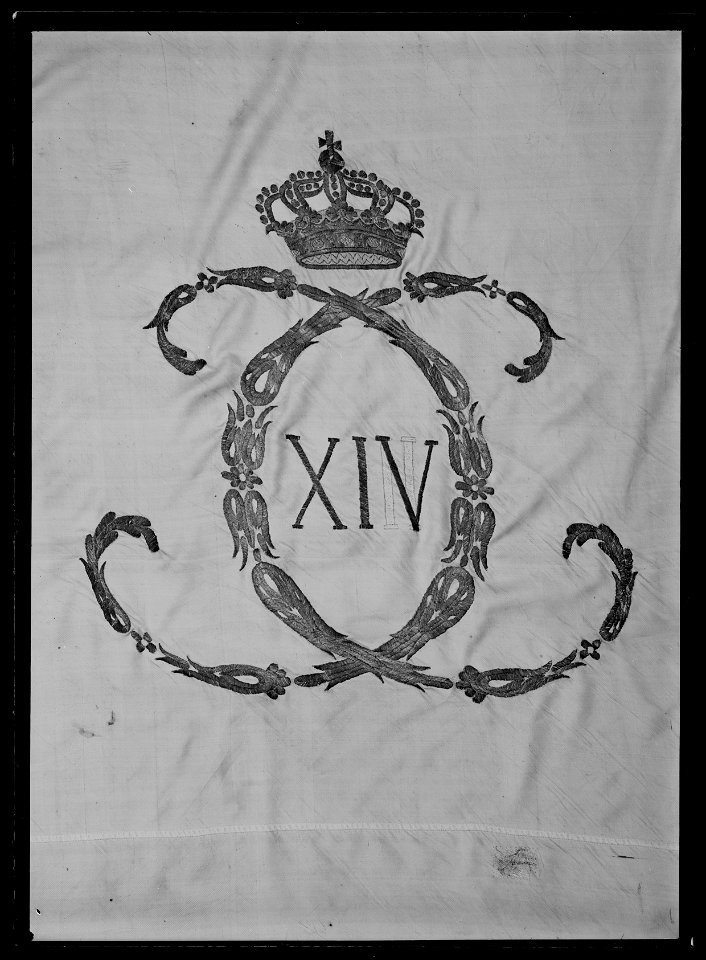 Kompanifana liv-o hustrupper - Livrustkammaren - 1015