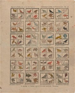 Komt hier nu kinders reyn, en lees dees vogels al- - Gy hebt met groot en kleyn, hier honderd in 't getal