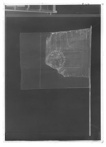 Kompanifana vid Östgöta regemente enl. m-1756 - Livrustkammaren - 8976-negative